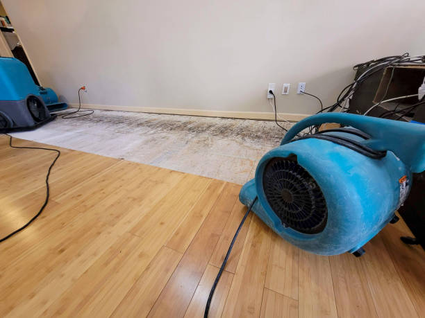 Professional Water Removal technician working in Glasgow, VA